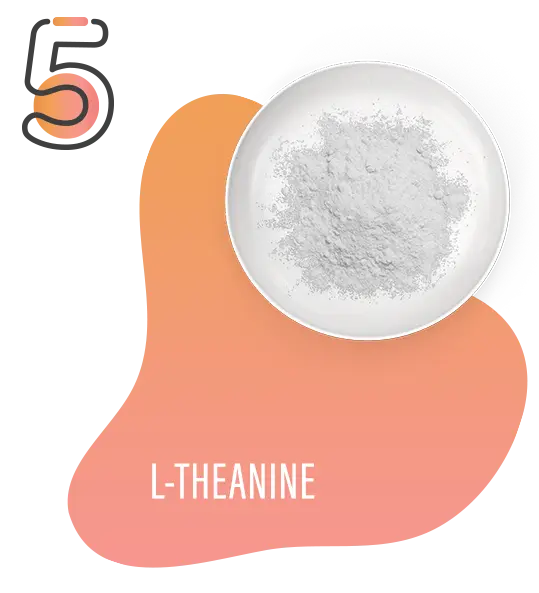 L-Theanine sm